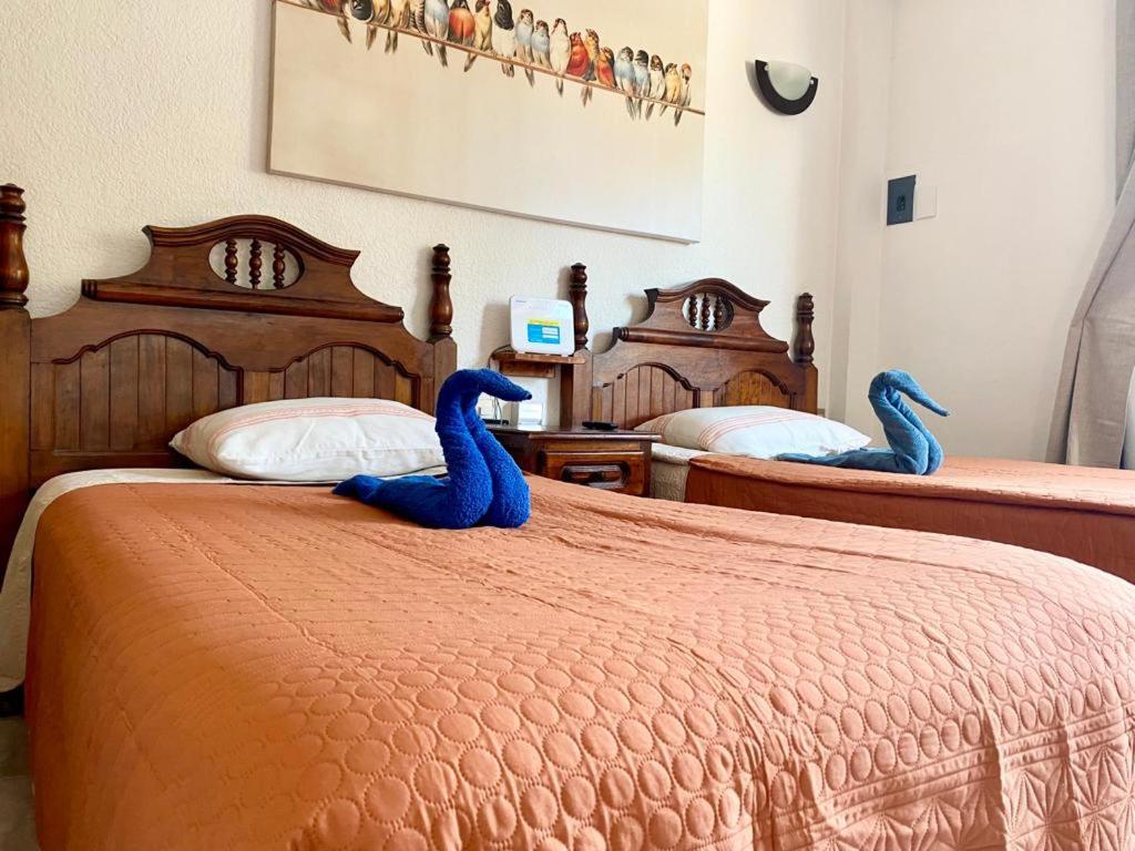 Suites Ximajo Brisas de Zicatela Exteriér fotografie